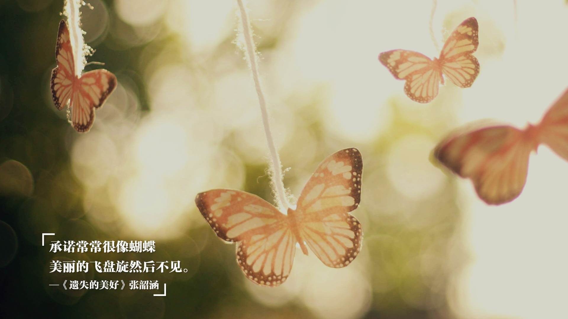 _中国运动员海外巡演：友谊与荣誉的交流_，中国运动员去外国比赛