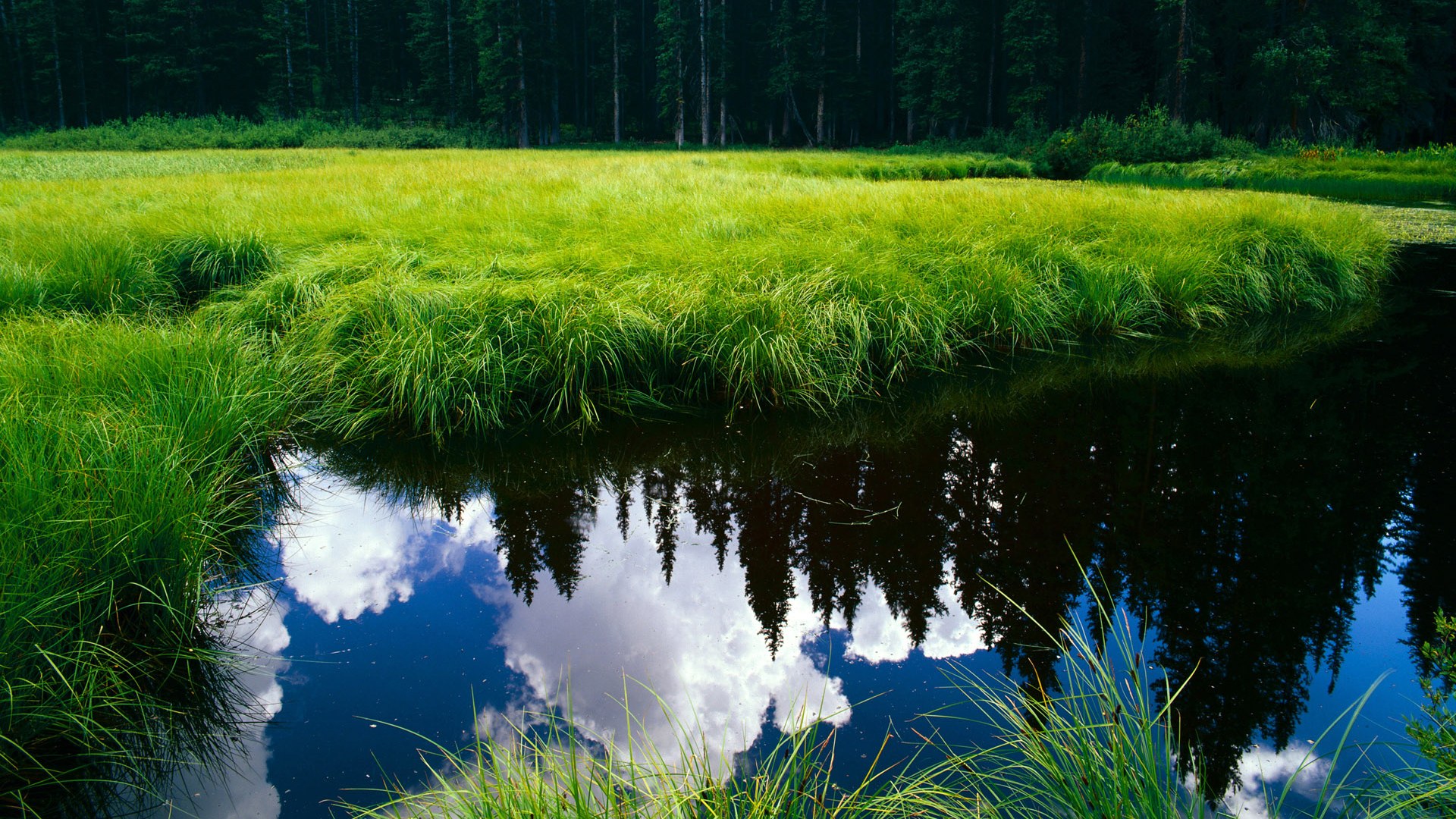 九游登录中心-“中超联赛裁判员培训全面升级，裁判水平不断提高”，2021中超裁判员